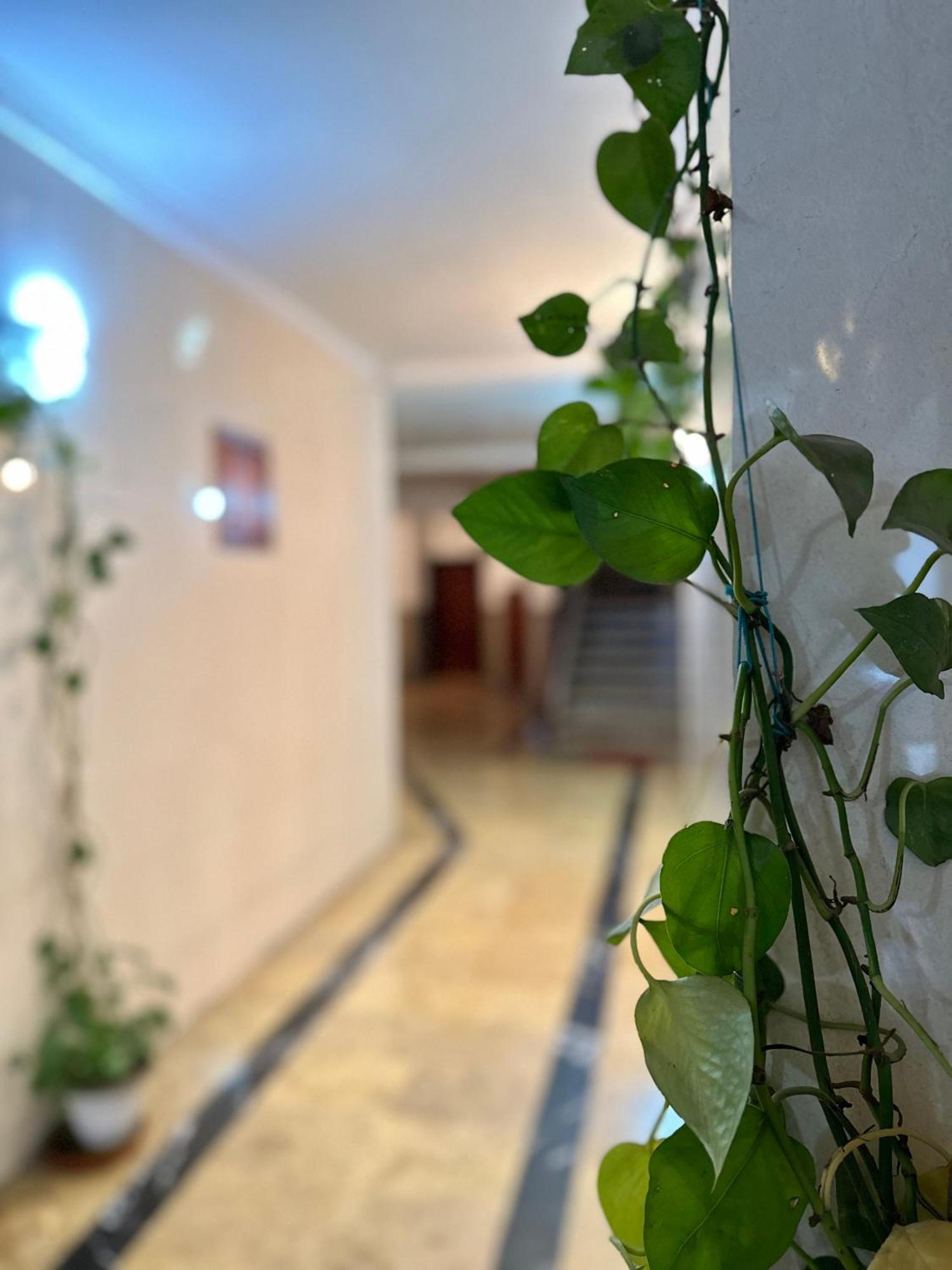 Casa Central Tetouan Bagian luar foto